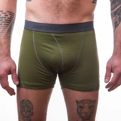 Термотрусы мужские SENSOR MERINO ACTIVE safari размер XXL зеленые