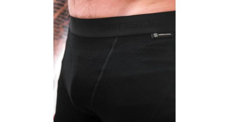 Чоловічі термотруси SENSOR MERINO DF розмір M чорні