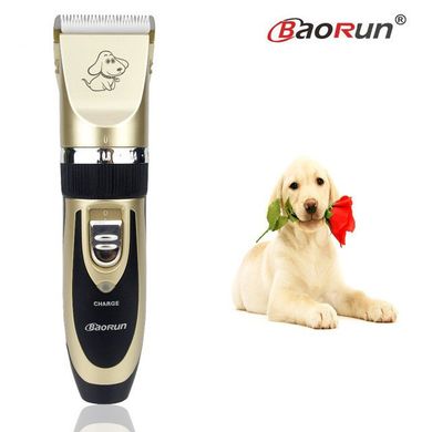 Комплект: машинка для стрижки тварин BaoRun P2 Gold + зубна щітка для собак Сhewbrush Dog Bone Dummy