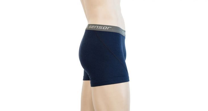 Термотрусы мужские SENSOR MERINO DF размер XL синие