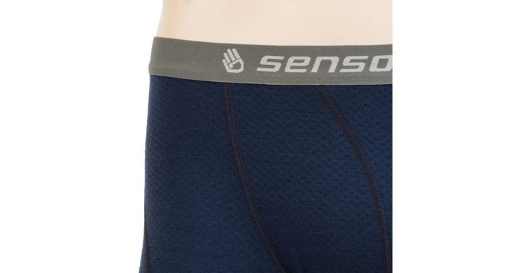 Термотрусы мужские SENSOR MERINO DF размер XL синие
