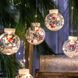 Гирлянда "Дед Мороз" Xmas WW-1 Copper Curtain Ball Lamp