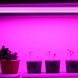 Светодиодный фитосветильник для растений Feron AL7001 T5 18W White