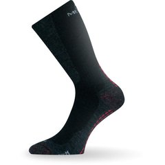 Теплые носки мужские Lasting WSM, размер M (38-41), Черные
