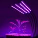 Фитолампа для растений Plant GrowLight светодиодная с таймером, черная