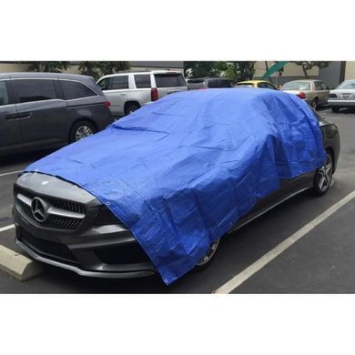 Тент садовый для навеса Wilmar 60г/м2 Blue 3х4 м