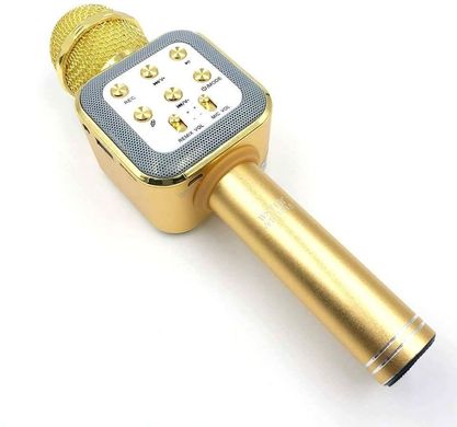 Мікрофон караоке бездротовий WSTER WS1818 Gold