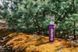 Термос 0,9 л Tramp Expedition Line UTRC-027-purple фиолетовый
