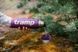 Термос 0,9 л Tramp Expedition Line UTRC-027-purple фиолетовый